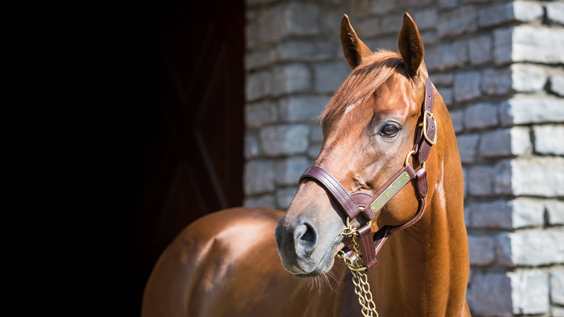 Gun Runner Officially Inducted into Racing Hall of Fame