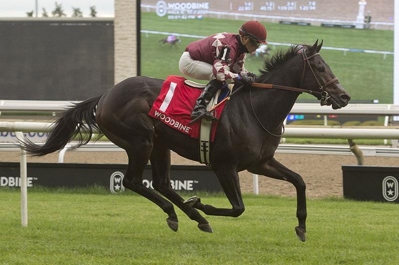 Sky Mesa’s Proven Strategies rides the rail to Toronto Cup win