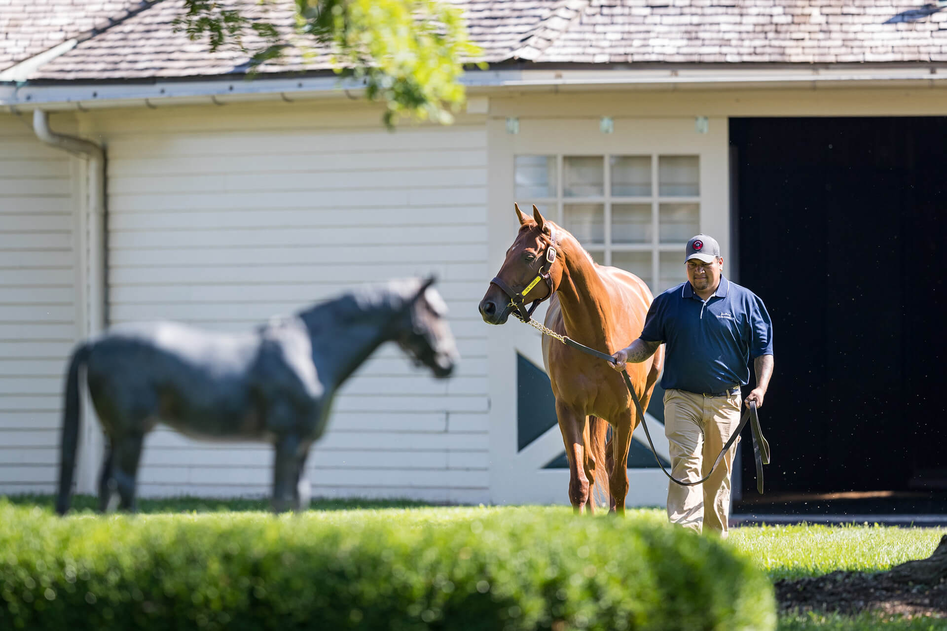 Stallion Open House scheduled for Nov. 5-10