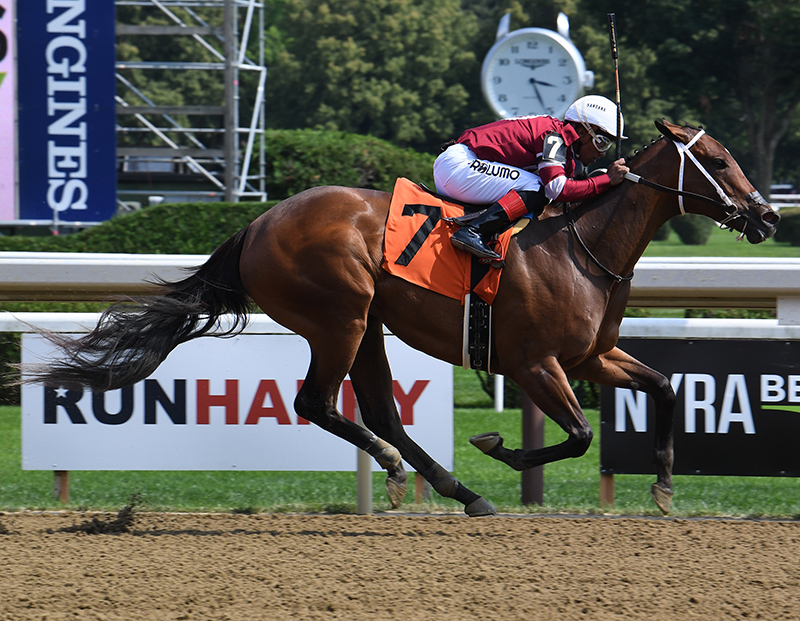 Gun Runner Kicks Off Saratoga Meet With A Tdn “rising Star” - Three 