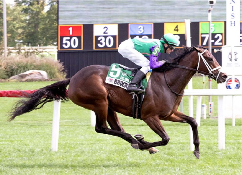 Palace Malice’s Brocknardini storms down the stretch to win the $150,000 Selima S.