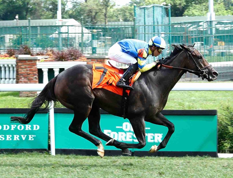 Delahaye rallies strongly to win the $250,000 Mint Julep S. (G3)