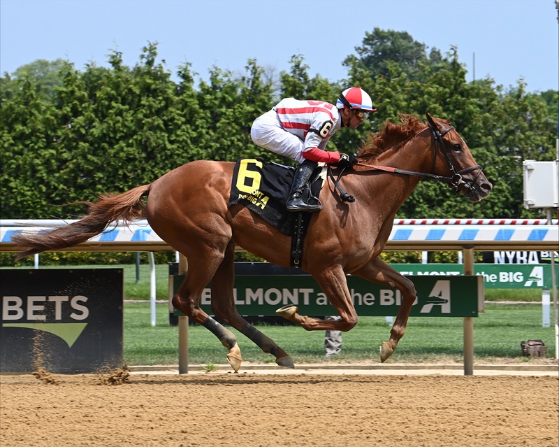 Gun Runner filly rockets to debut double-digit win in TDN Rising Star performance