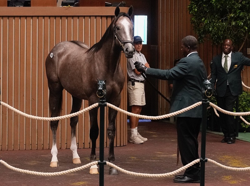 Gun Runner’s numbers: seven-figures yearlings abound at Keeneland September sale