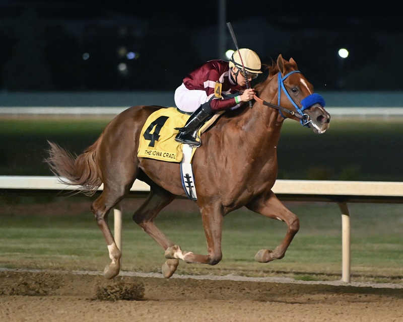 Amorosa winning the $110,000 Iowa Cradle S. on Sept. 28, 2024