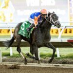 Bullard and jockey Umberto Rispoli win the Grade III $100,000 Bob Hope Stakes Sunday, November 17, 2024 at Del Mar Thoroughbred Club, Del Mar, CA Benoit Photo