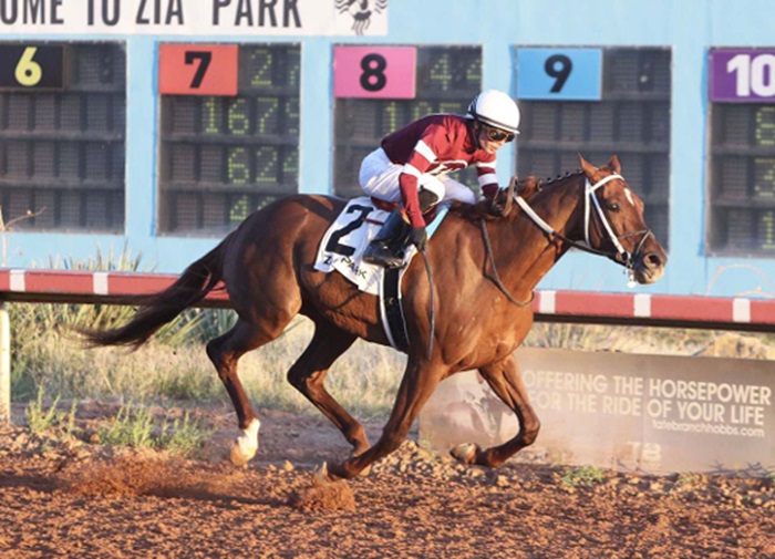 Gun Runner colt sets track record in $300,000 Zia Park Derby