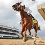 Rojo Rita winning her Nov. 15 debut at Gulfstream Park - Ryan Thompson