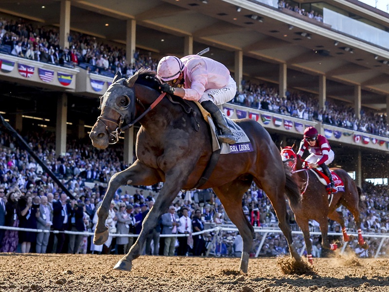 Gun Runner’s Sierra Leone a worthy Breeders’ Cup Classic (G1) champion