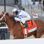 Locked powers to victory in the 2024 Cigar Mile (G2) - NYRA photo