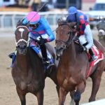 Pretty Ana (at right) holds off Alpine Princess to win the Comely S. (G3) - Joe Labozzetta