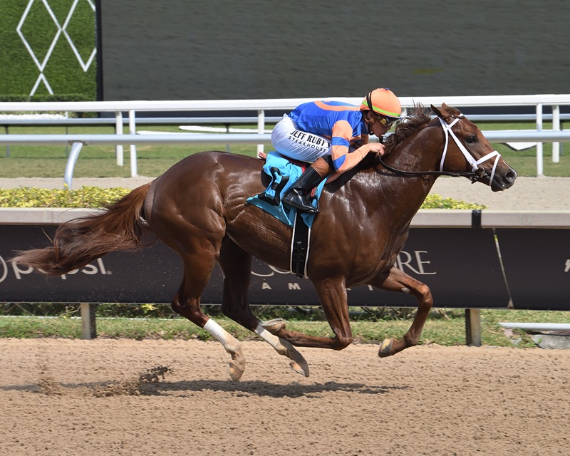 Gun Runner colt earns ‘TDN Rising Star’ following dominant MdSpWt score